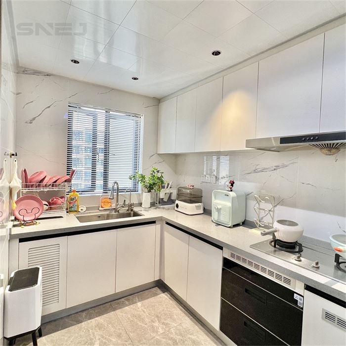 Modern Wood Luxury Custom Kitchen Storage Cabinets